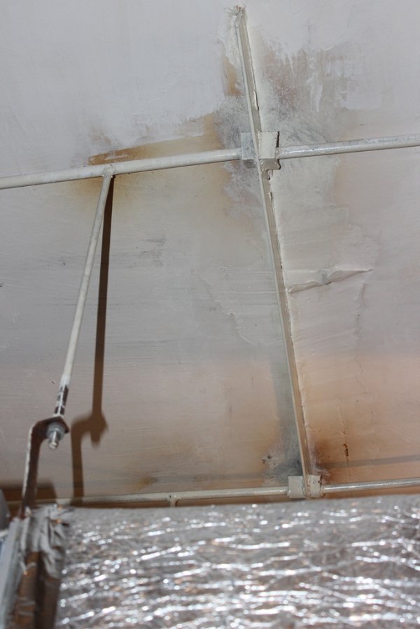 У мерії Луцька пояснили, чим скомпрометував себе учасник тендеру на реконструкцію зоокуточка